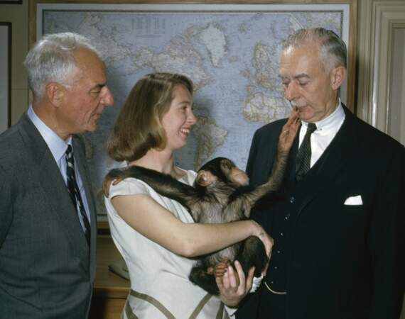 La primatologue Jane Goodall et le chimpanzé Lulu visitent la National Geographic Society
