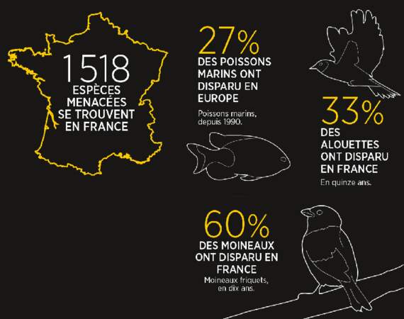 En France aussi, la faune est en danger 