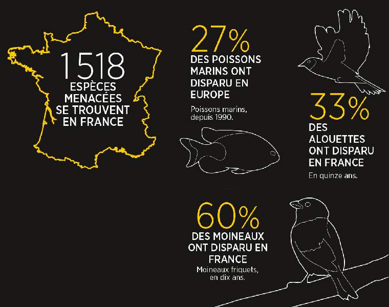 En France aussi, la faune est en danger 