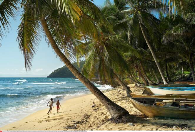 République Dominicaine : une destination de rêve... tant que le fisc ne s'en mêle pas