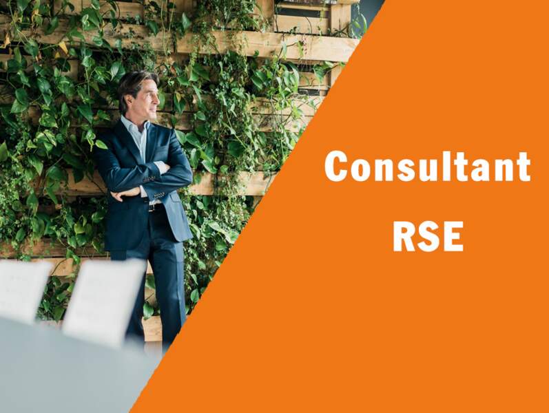 Consultant RSE - Il conseille l’entreprise sur son développement durable