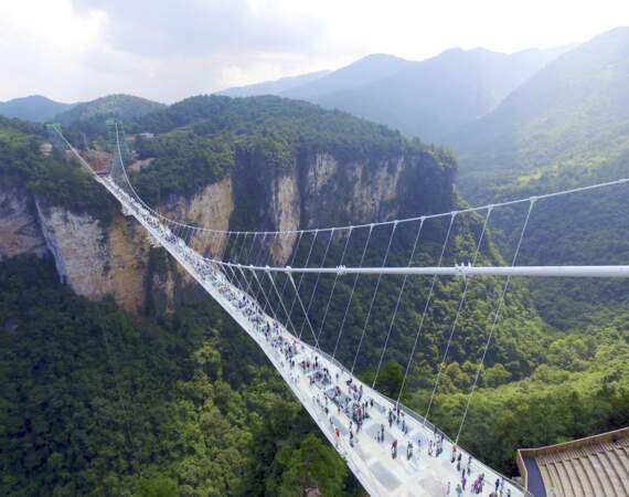 Le pont de Zhangjiajie (Chine) : une passerelle de verre qui culmine à 300 mètres