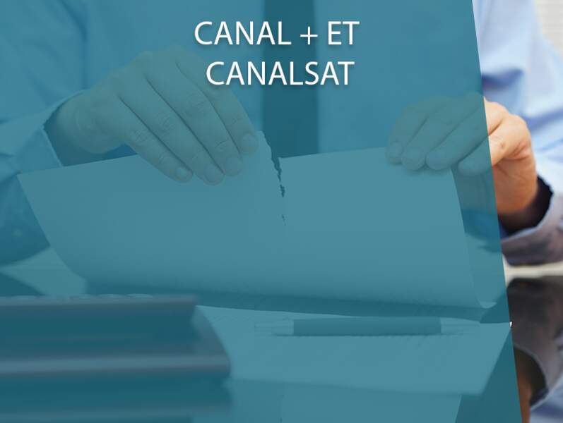 Canal + et Canalsat