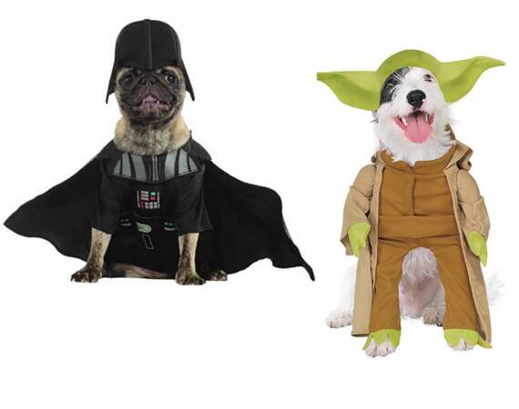Le déguisement pour chiens