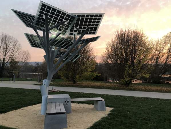 Solar Tree Europ : créer du lien social autour d'un objet écologique