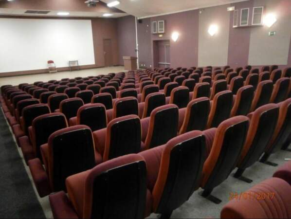 196 fauteuils de cinéma de Dinan vendus pour 1.500 euros.