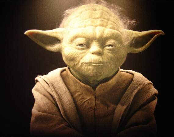 Maître Yoda (4024581-4024721), CEO de l’Ordre du Jedi