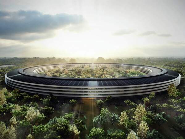 Entreprise Campus : l'exemple du futur siège social d'Apple (Etats-Unis)
