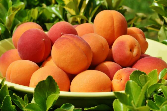 9. Abricots