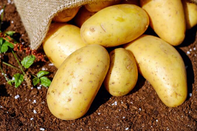 7. Pommes de terre