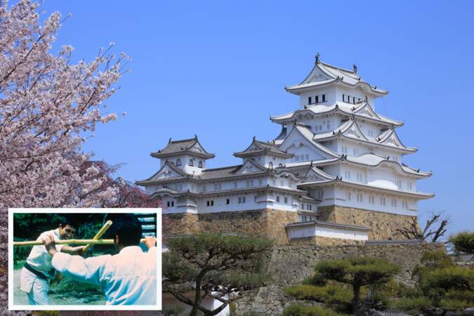 Le château d'Himeji (Japon)