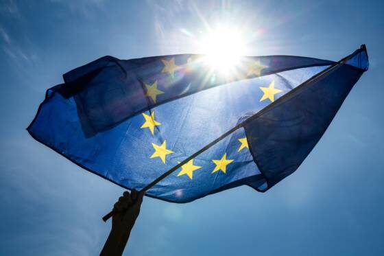 Progression limitée des eurosceptiques, poussée écologiste — Européennes