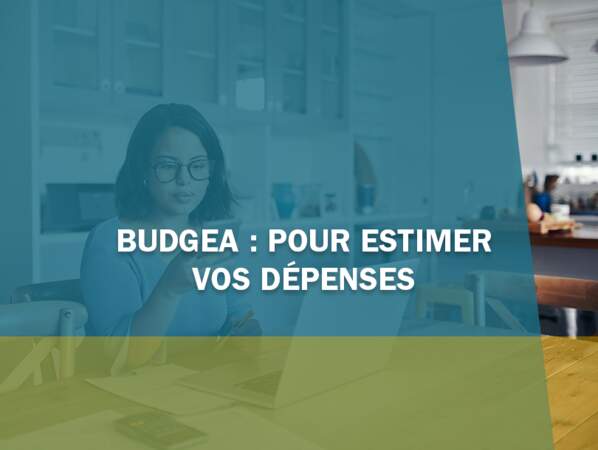 Budgea : pour estimer vos dépenses