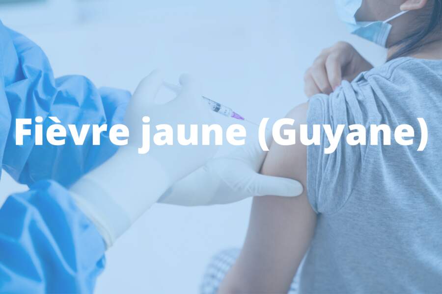 Fièvre jaune (Guyane)