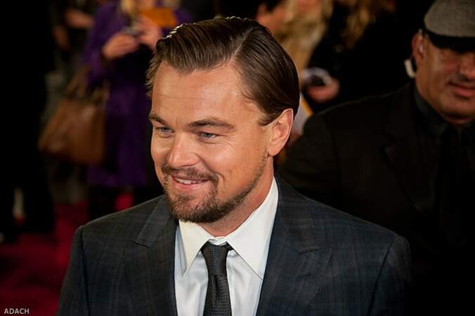 Léonardo DiCaprio, l’investisseur écolo