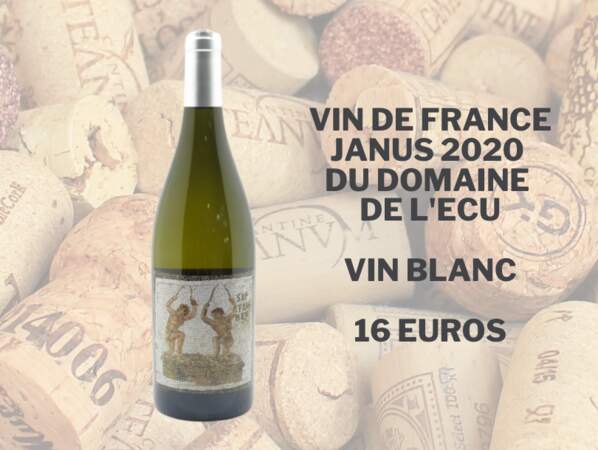 Vin de France Janus 2020 du domaine de l’Ecu - 16 euros