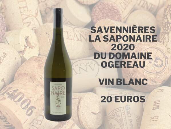 Savennières La Saponaire 2020 du domaine Ogereau - 20 euros