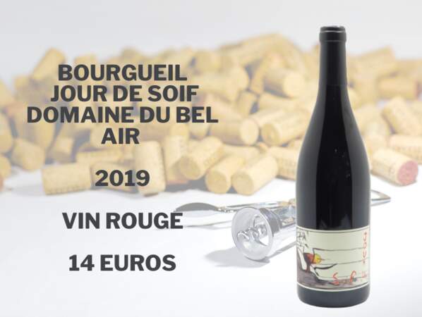 Bourgueil, Jour de soif, Domaine du Bel Air 2019 - 14 euros