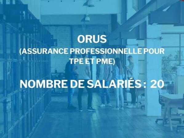 Orus
(assurance professionnelle pour TPE et PME)