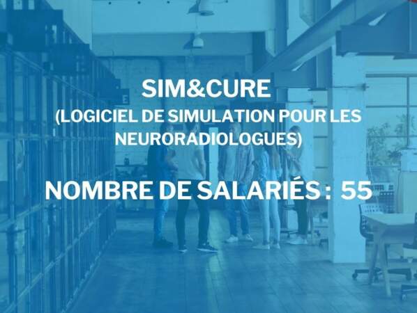 Sim&Cure
(logiciel de simulation pour les neuroradiologues)