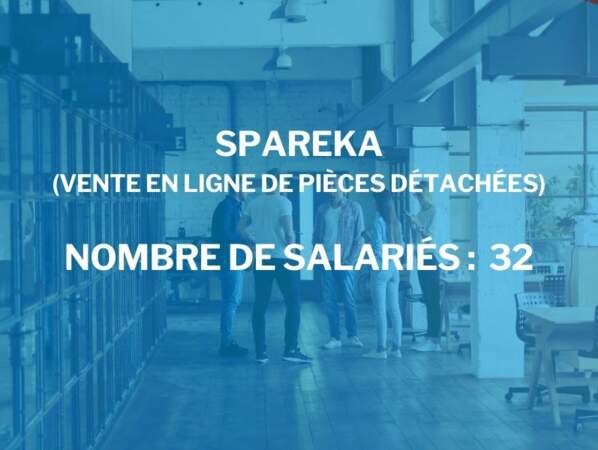 Spareka
(vente en ligne de pièces détachées)