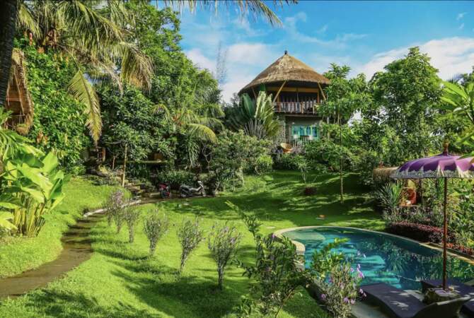 Maison dans les arbres de Balian - Bali, Indonésie
