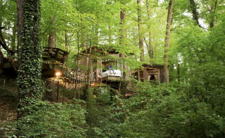Maison isolée dans les arbres - Atlanta, Géorgie, États-Unis