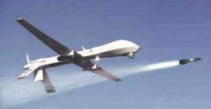 Drone suicide Larinae