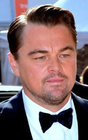 Leonardo DiCaprio veut proposer des éco-lodges sur son île