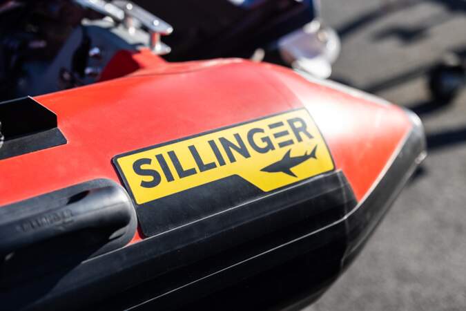 À qui appartient Sillinger ?