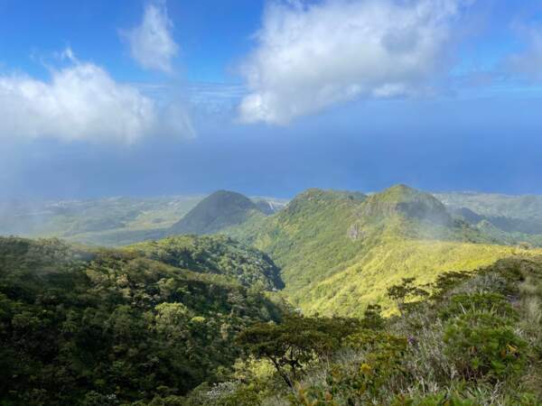 Volcans et forêts de la Montagne Pelée et des pitons du nord de la Martinique